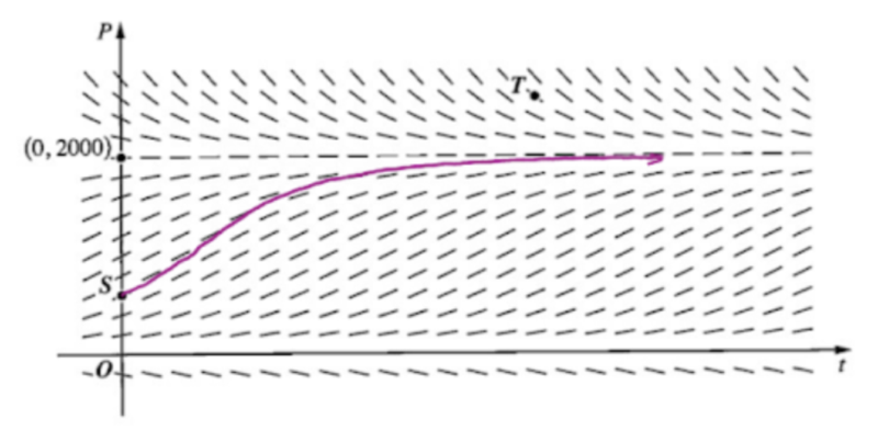 matrix education Slope field with a curve showing the solution trajectory and equilibrium point